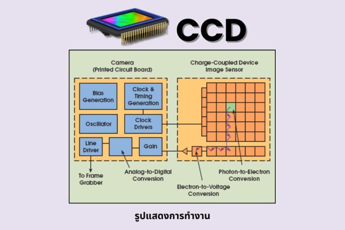 CMOS / CCD คืออะไร แตกต่างกันยังไง