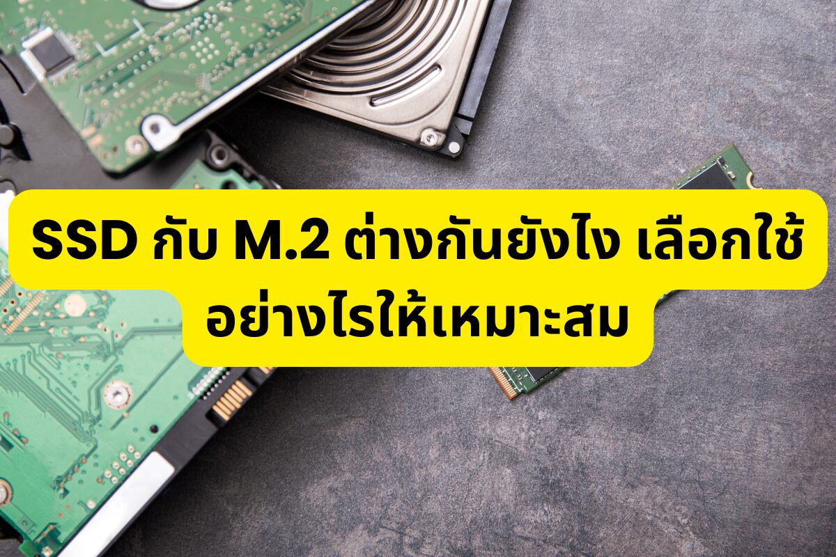 SSD กับ M.2 ต่างกันยังไง เลือกใช้อย่างไรให้เหมาะสม